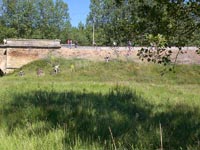 foto_172